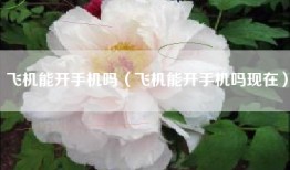 飞机能开手机吗（飞机能开手机吗现在）