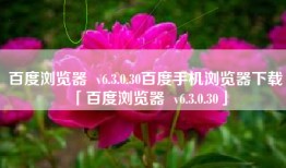 百度浏览器  v6.3.0.30百度手机浏览器下载「百度浏览器  v6.3.0.30」