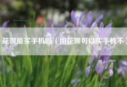 花呗能买手机吗（用花呗可以买手机不）