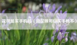 花呗能买手机吗（用花呗可以买手机不）