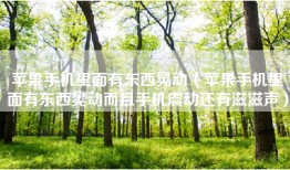 苹果手机里面有东西晃动（苹果手机里面有东西晃动而且手机震动还有滋滋声）