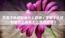 苹果手机越狱是什么意思（苹果手机越狱是什么意思怎么操作越狱）