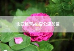 比亚迪宋plus百公里加速