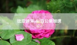 比亚迪宋plus百公里加速