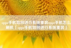 oppo手机如何进行系统重装oppo手机怎么刷机「oppo手机如何进行系统重装」