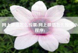 网上微信怎么投票(网上微信怎么投票小程序)