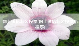 网上微信怎么投票(网上微信怎么投票小程序)