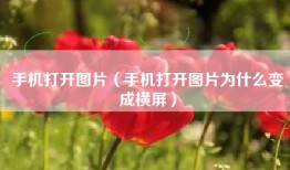 手机打开图片（手机打开图片为什么变成横屏）