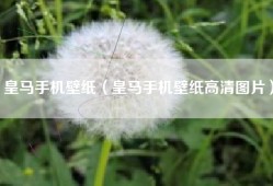 皇马手机壁纸（皇马手机壁纸高清图片）
