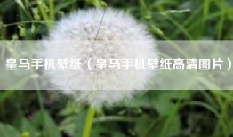 皇马手机壁纸（皇马手机壁纸高清图片）