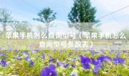 苹果手机怎么查询型号（苹果手机怎么查询型号参数表）