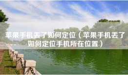 苹果手机丢了如何定位（苹果手机丢了如何定位手机所在位置）