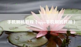 手机刷机教程（oppo手机刷机教程）
