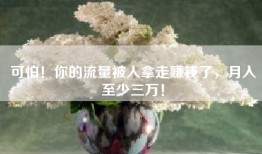 可怕！你的流量被人拿走赚钱了，月入至少三万！