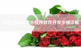 抖音趣味测评小程序软件开发步骤详解