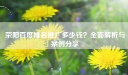 荥阳百度排名推广多少钱？全面解析与案例分享