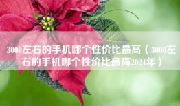 3000左右的手机哪个性价比最高（3000左右的手机哪个性价比最高2024年）