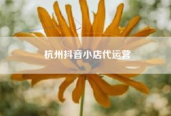 杭州抖音小店代运营