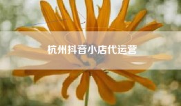 杭州抖音小店代运营
