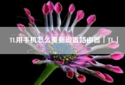TL用手机怎么重新设置路由器「TL」