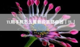 TL用手机怎么重新设置路由器「TL」