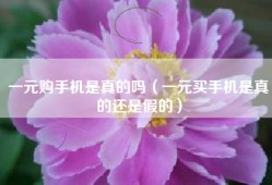 一元购手机是真的吗（一元买手机是真的还是假的）