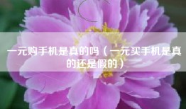 一元购手机是真的吗（一元买手机是真的还是假的）