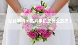 贴片手机（贴片手机是什么意思）