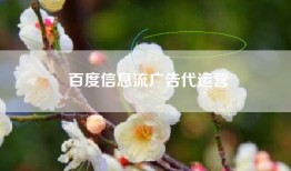 百度信息流广告代运营
