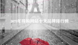 2023年导购网站十大品牌排行榜