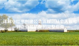详解小红书创建公会流程，从个人账号到企业号转型的完整指南