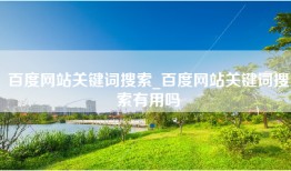 百度网站关键词搜索_百度网站关键词搜索有用吗
