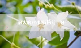 最火的APP排行榜前十名