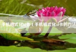 手机格式化sd卡（手机格式化sd卡的方法）