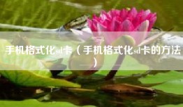 手机格式化sd卡（手机格式化sd卡的方法）