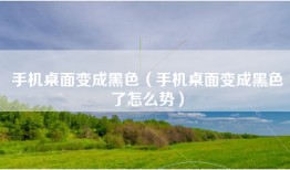 手机桌面变成黑色（手机桌面变成黑色了怎么势）