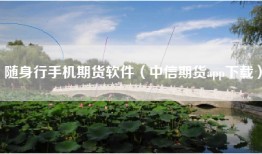 随身行手机期货软件（中信期货app下载）