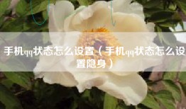 手机qq状态怎么设置（手机qq状态怎么设置隐身）