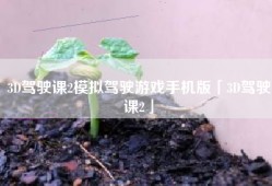 3D驾驶课2模拟驾驶游戏手机版「3D驾驶课2」