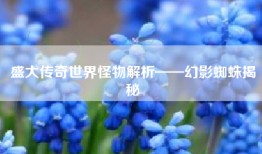盛大传奇世界怪物解析——幻影蜘蛛揭秘