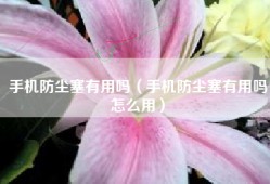 手机防尘塞有用吗（手机防尘塞有用吗怎么用）