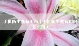 手机防尘塞有用吗（手机防尘塞有用吗怎么用）