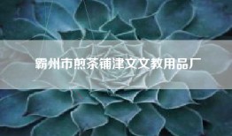 霸州市煎茶铺津文文教用品厂