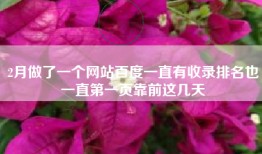 2月做了一个网站百度一直有收录排名也一直第一页靠前这几天