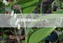 如何防御DDoS＊＊＊