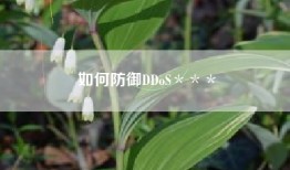 如何防御DDoS＊＊＊