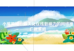 小编揭秘：最大化在线影响力的网络推广新策略