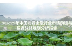 2024-2029年中国消费金融行业市场前瞻与投资战略规划分析报告