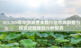 2024-2029年中国消费金融行业市场前瞻与投资战略规划分析报告