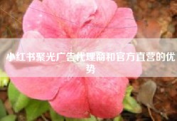 小红书聚光广告代理商和官方直营的优势